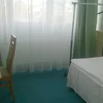 Pelikan Vendeghaz * Szolnok