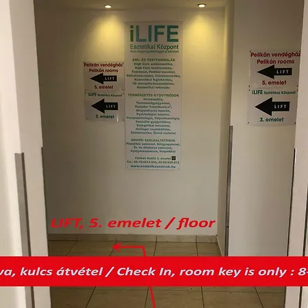 Pelikan Vendeghaz * Szolnok